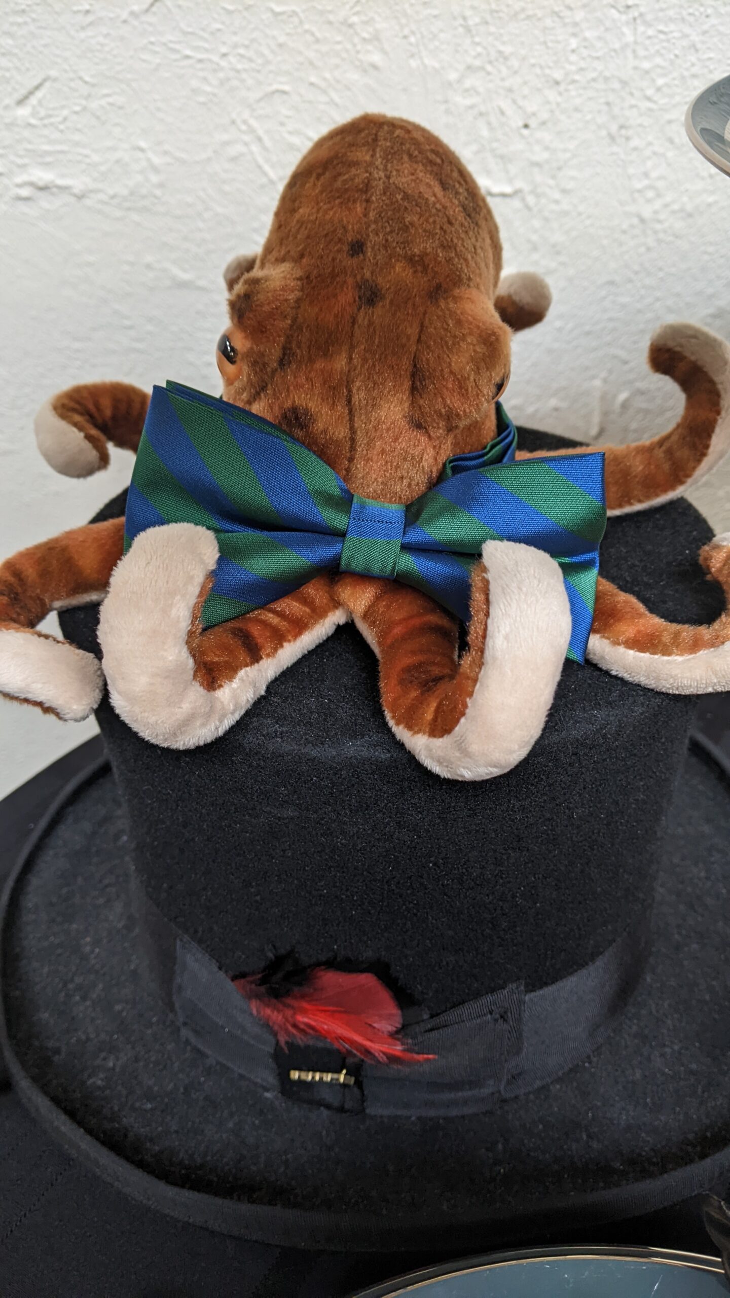 Octo the Octopus sporting a Whimsy tie