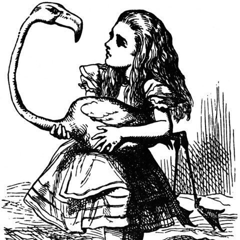 Alice during the Queen's Croquet